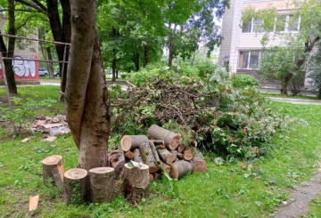Специалисты МАУ «Коммунальное управление» совместно с МКУ «Управление по делам ГОЧС города Обнинска» быстро отреагировали на происшествие: спилили повреждённый ствол рябины и убрали обломки в сторону.