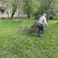 На Ленина 98 убрали срезанные ветки