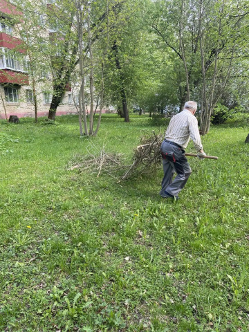 На Ленина 98 убрали срезанные ветки