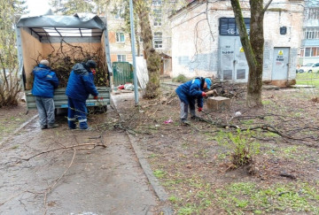 Вывезли ветки и листву после субботника на городской территории между Любого 3 и 5