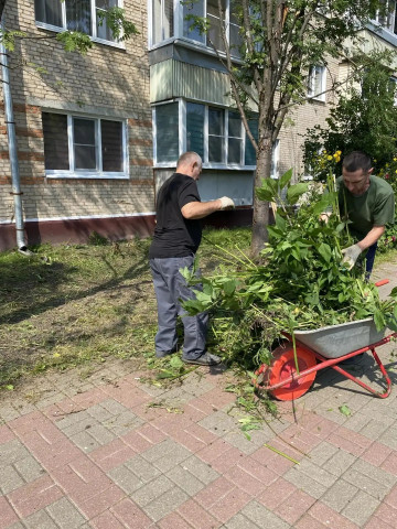 На Гагарина 51 и Жукова 5 привели в порядок кусты, убрали поросль, покосили траву на придомовой территории