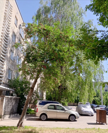 Управляющая организация МАУ «Коммунальное управление» успешно завершила работы по демонтажу аварийного дерева по адресу пр. Маркса, д. 76. Мероприятие было проведено в рамках комплекса мер по обеспечению безопасности жителей многоквартирного дома.