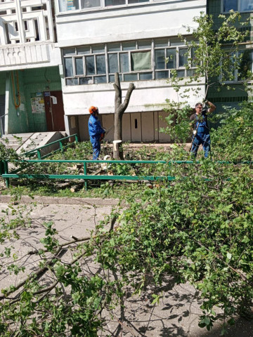 По результатам рассмотрения обращения жителей дома 46 по улице Гагарина и проведённого обследования специалистами экологического отдела,  работниками МАУ "Коммунальное управление" были осуществлены работы по удалению деревьев и ветвей