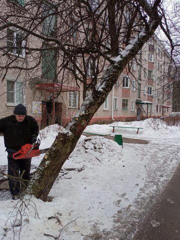 Спил аварийных деревьев на ул. Мира