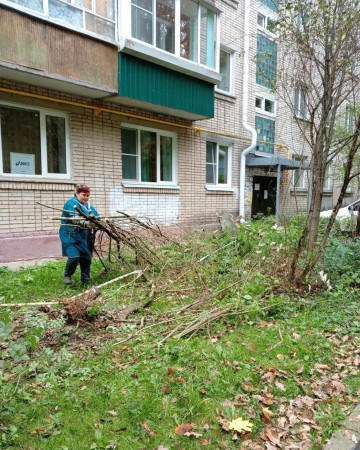 По адресу Курчатова 26, произведён спил упавшего куста сирени