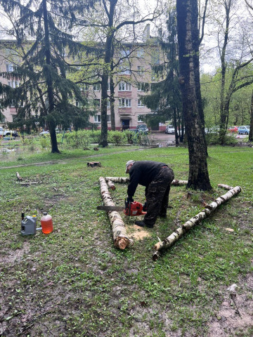 Произвели снос аварийных деревьев