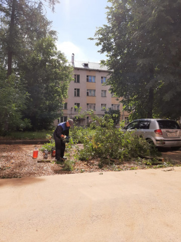 Спил аварийного дерева на Победы 11