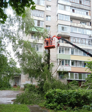 После разгула стихии на Маркса 50 и Ленина 120 спилили повреждённые деревья, а на Ленина 116 оперативно удалили сломанную ветку