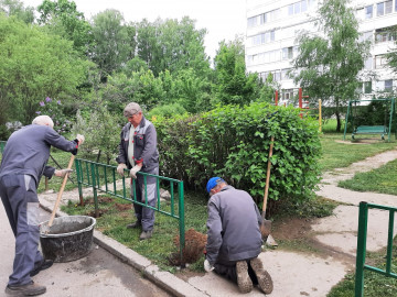 Завершены ремонтные работы ограждений.