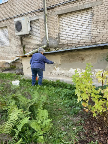 Выполнена окраска спусков в два подвала фасадной краской по адресу: пр. Ленина  88