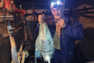 Редкий кадр