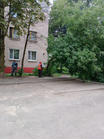 Убрали аварийные деревья по ул. Мира и Комарова.