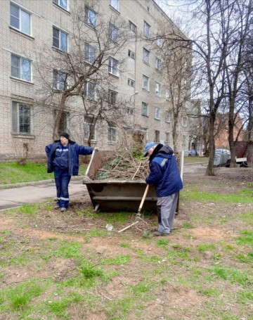 После опиловки собрали ветки на Любого 5 и 8