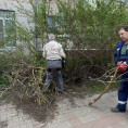 На Жукова 5 обрезали кустарники