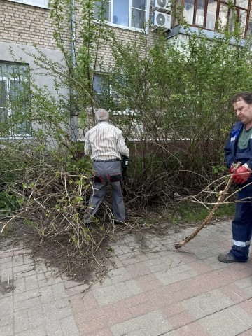 На Жукова 5 обрезали кустарники
