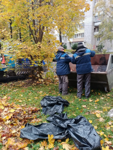 Время собирать и вывозить опавшие листья во дворах МКД.
